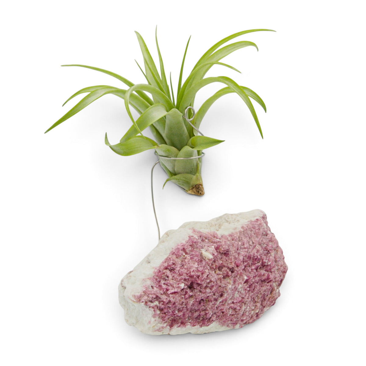 Pink Tourmaline Crystal Air Plant Holder