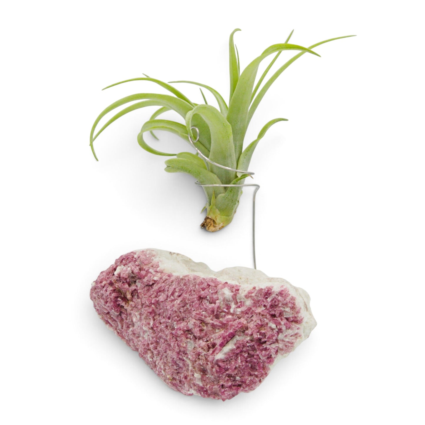 Pink Tourmaline Crystal Air Plant Holder