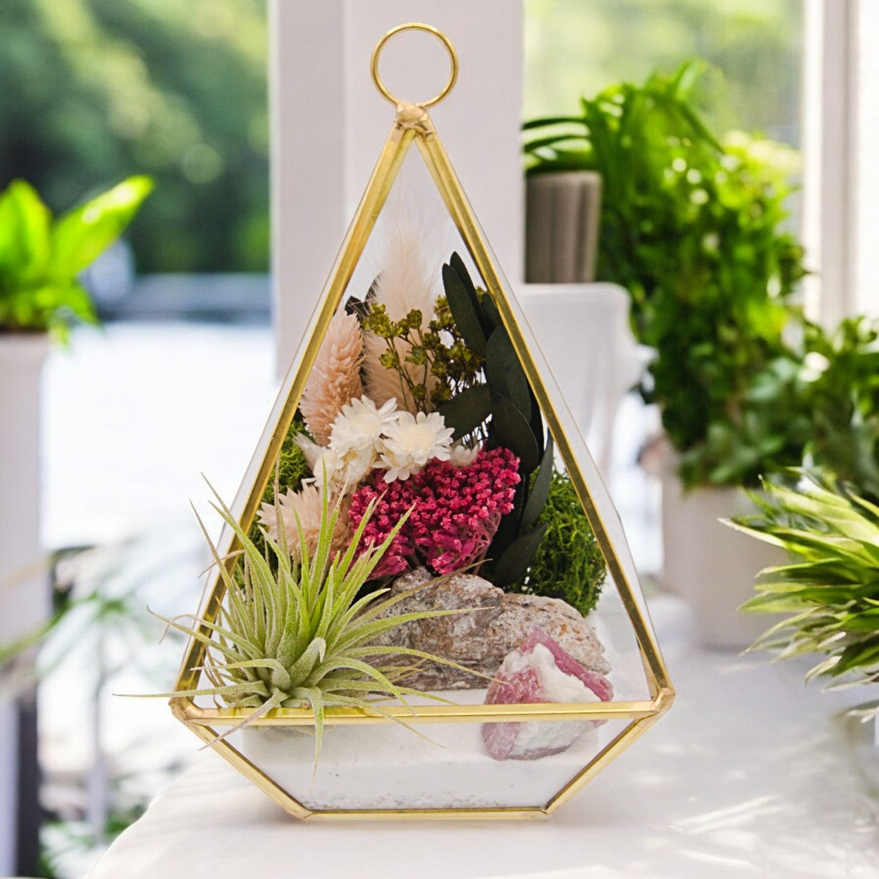 pink terrarium plant Victorian Airplant Terrarium Small