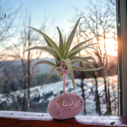 Support en cristal de Rhodonite pour plante aérienne