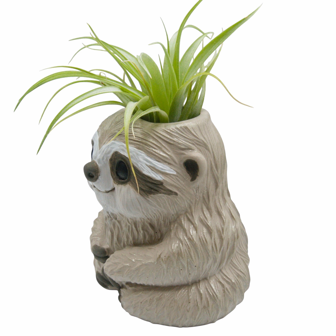 Slomo the Sloth Airplant Pot