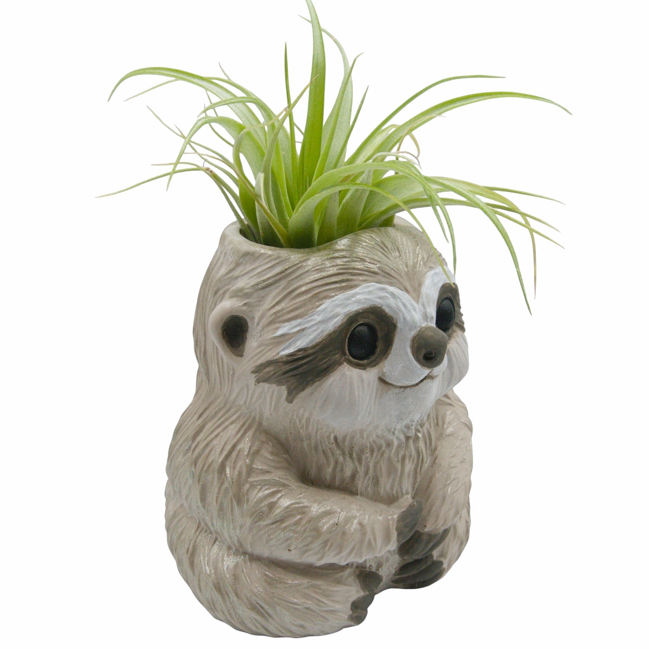 Slomo the Sloth Airplant Pot