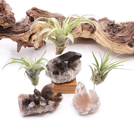 Smoky Quartz Crystal Airplant Holder