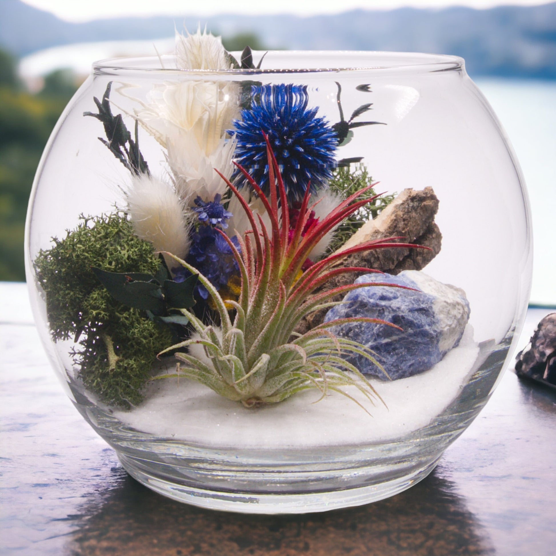 Glass bowl terrarium with dried flowers, an airplant, sand, sodalite stone