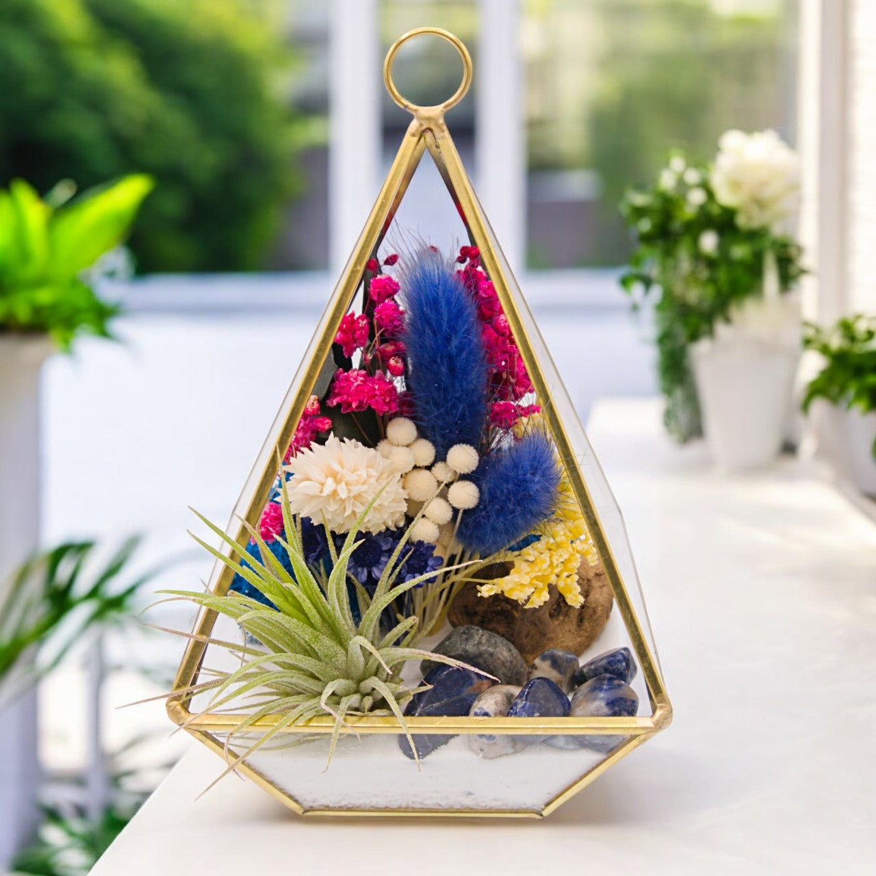 Terrarium Victorien Petit avec une plante aérienne - bleu