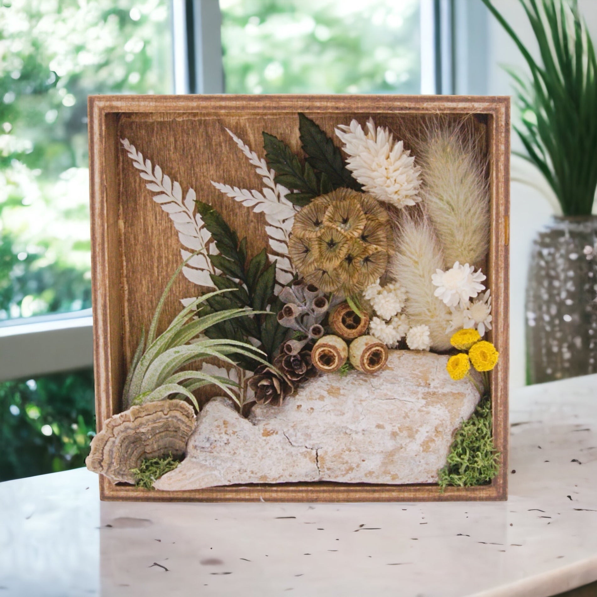 Antique stained wooden box frame filled with dried flowers, wood, moss, dried mushrooms and an airplant