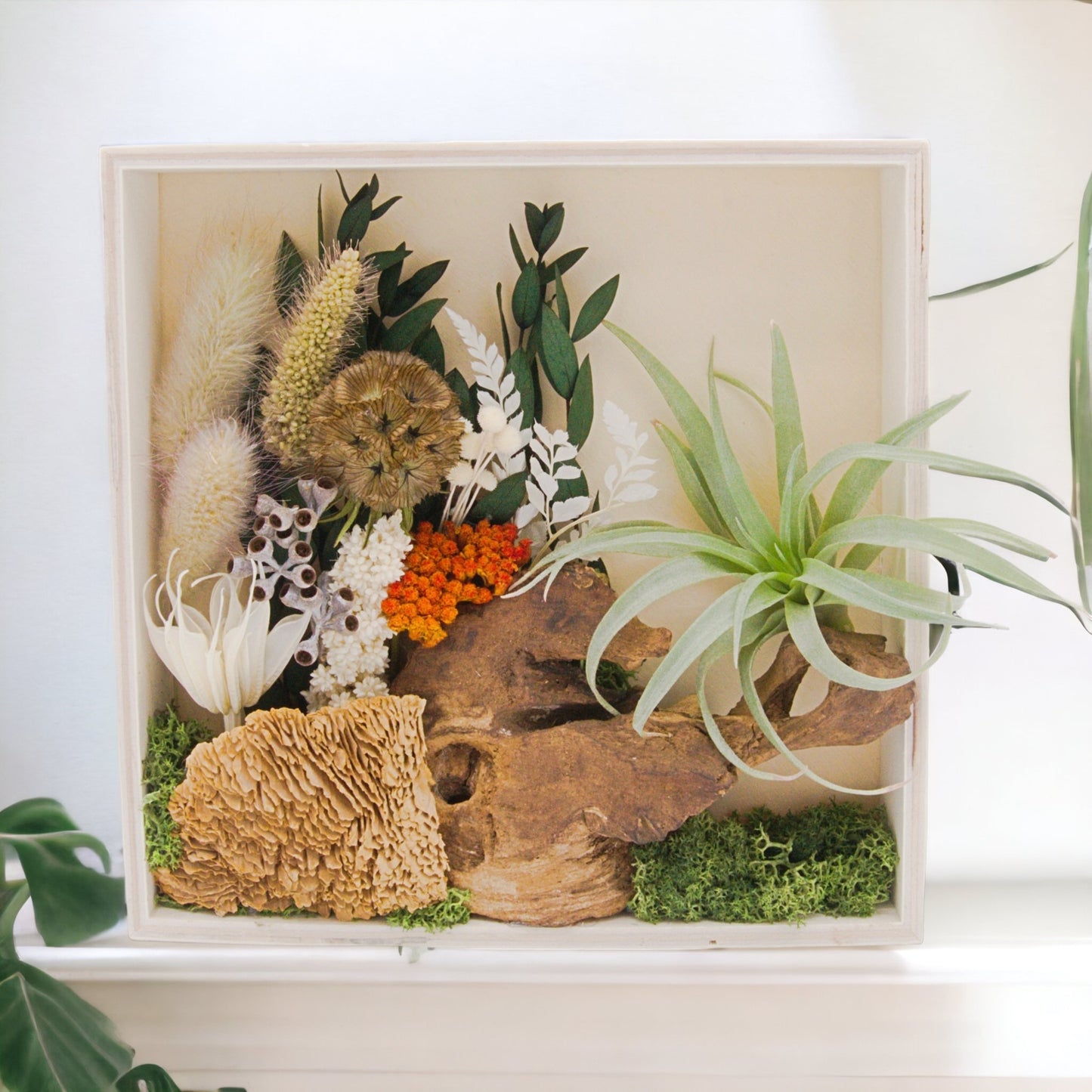 Square wooden box frame filled with dried flowers, wood, moss, dried mushrooms and an airplant