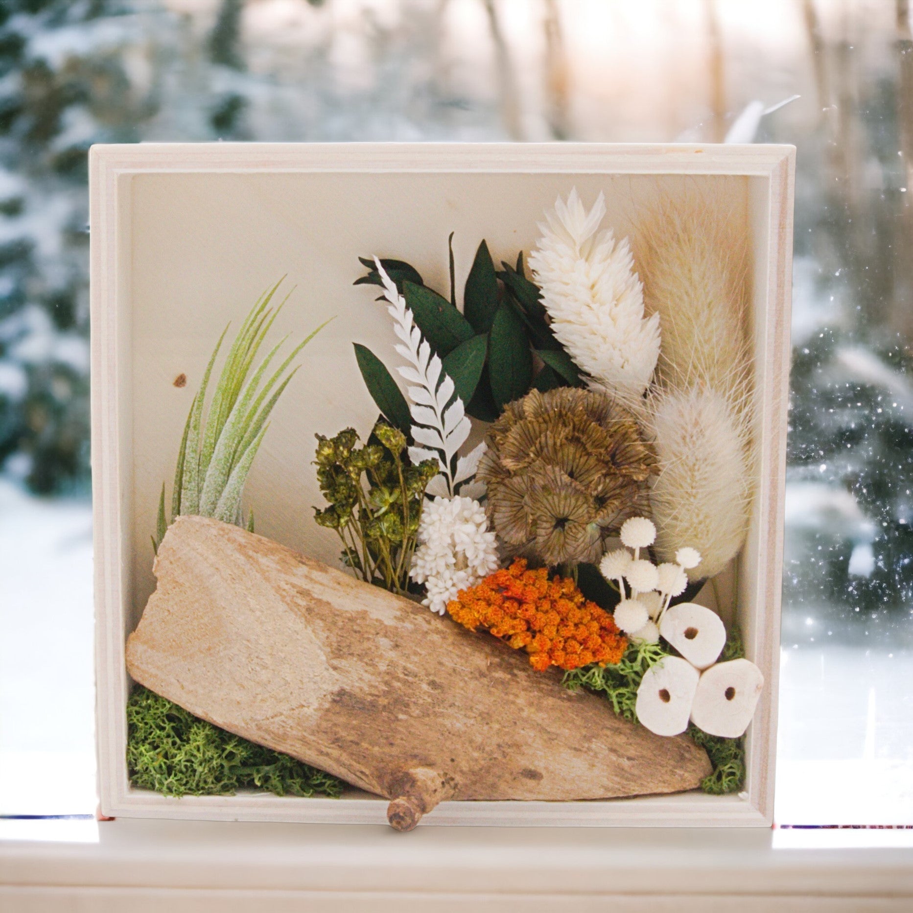 Square wooden box frame filled with dried flowers, wood, moss, dried mushrooms and an airplant
