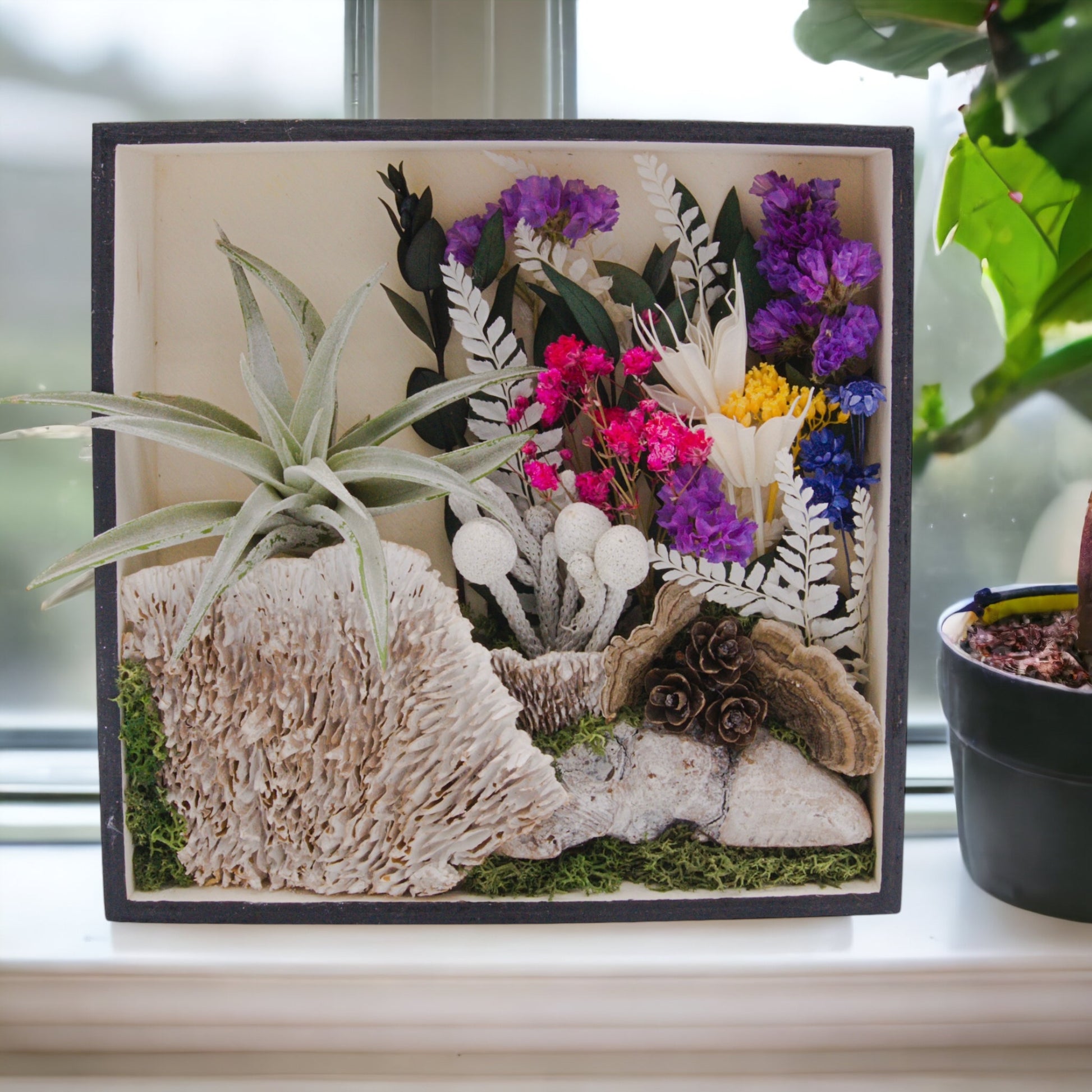 Wooden square box frame stained black filled with dried flowers, moss, wood, dried mushrooms and an airplant