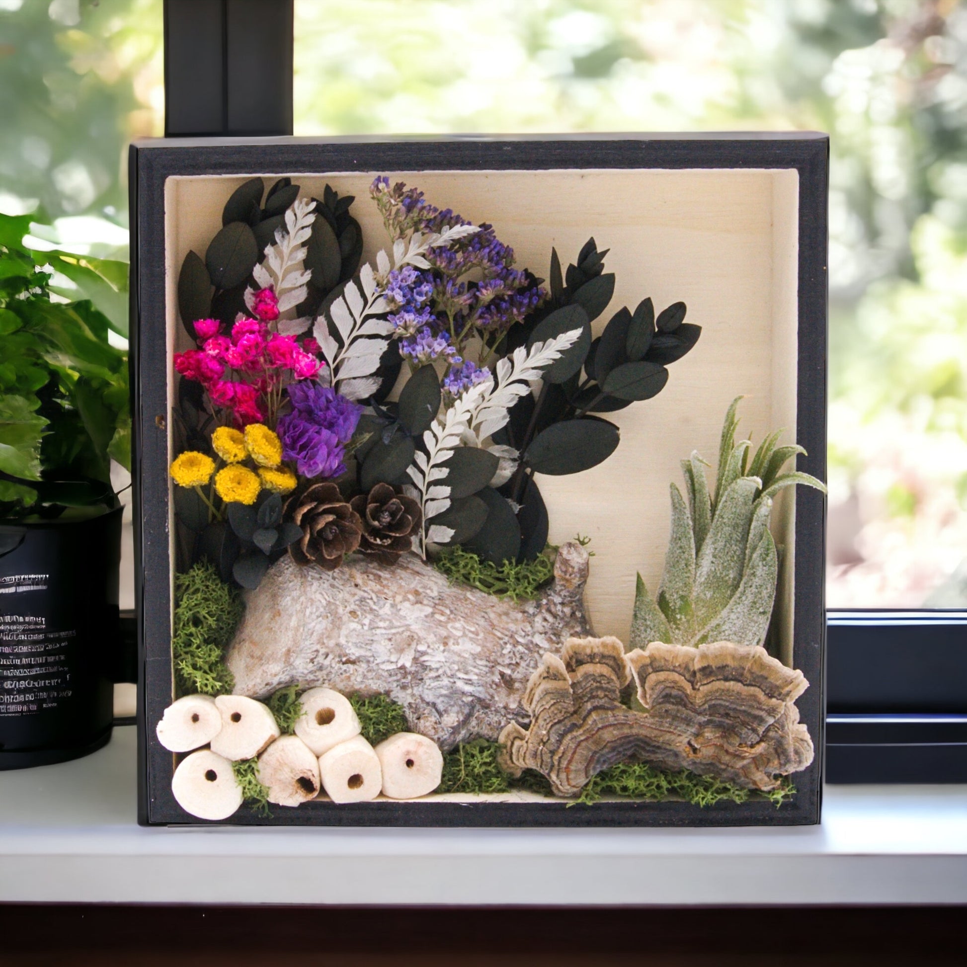 Wooden square box frame stained black filled with dried flowers, moss, wood, dried mushrooms and an airplant