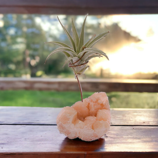 Stilbite crystal airplant holder