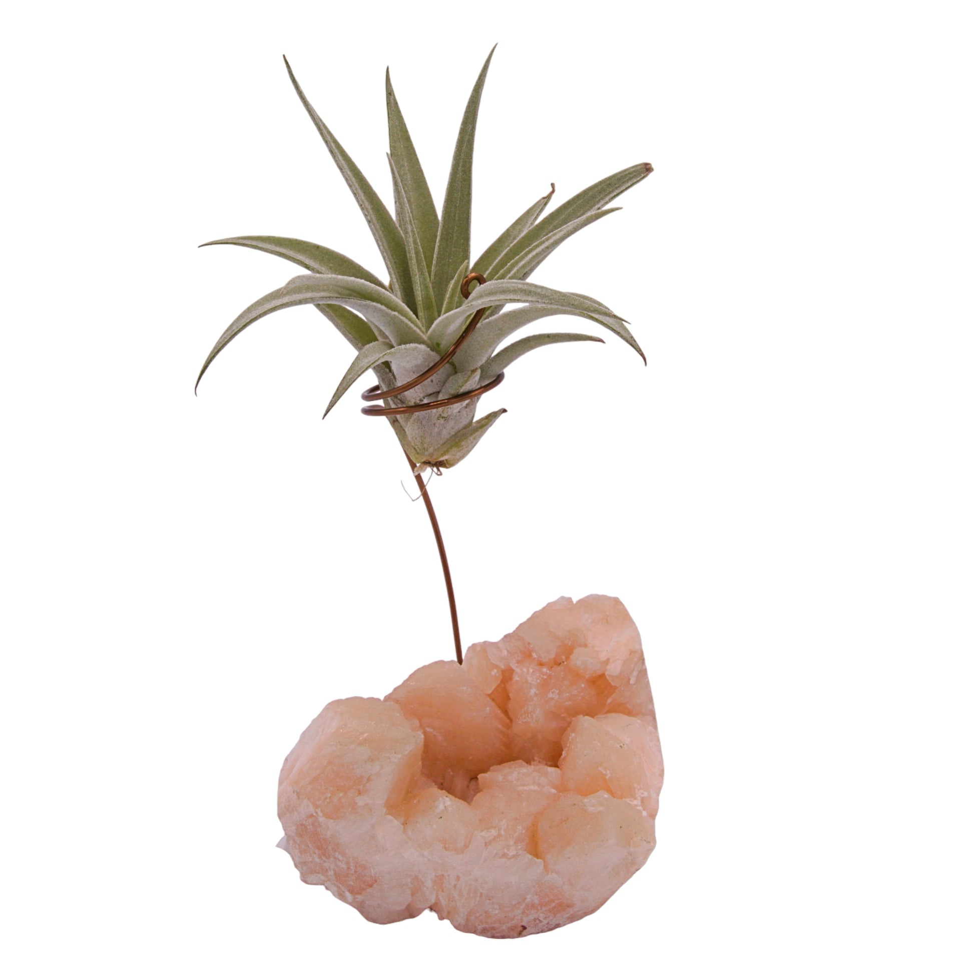 Stilbite crystal airplant holder