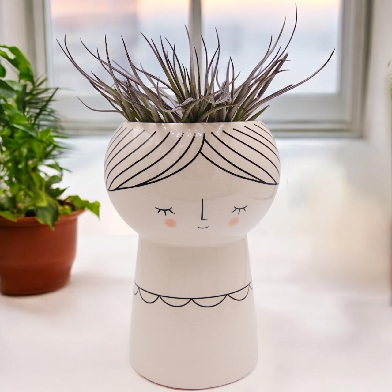 Airplant Stricta Midnight dark purple with ceramic lady pot