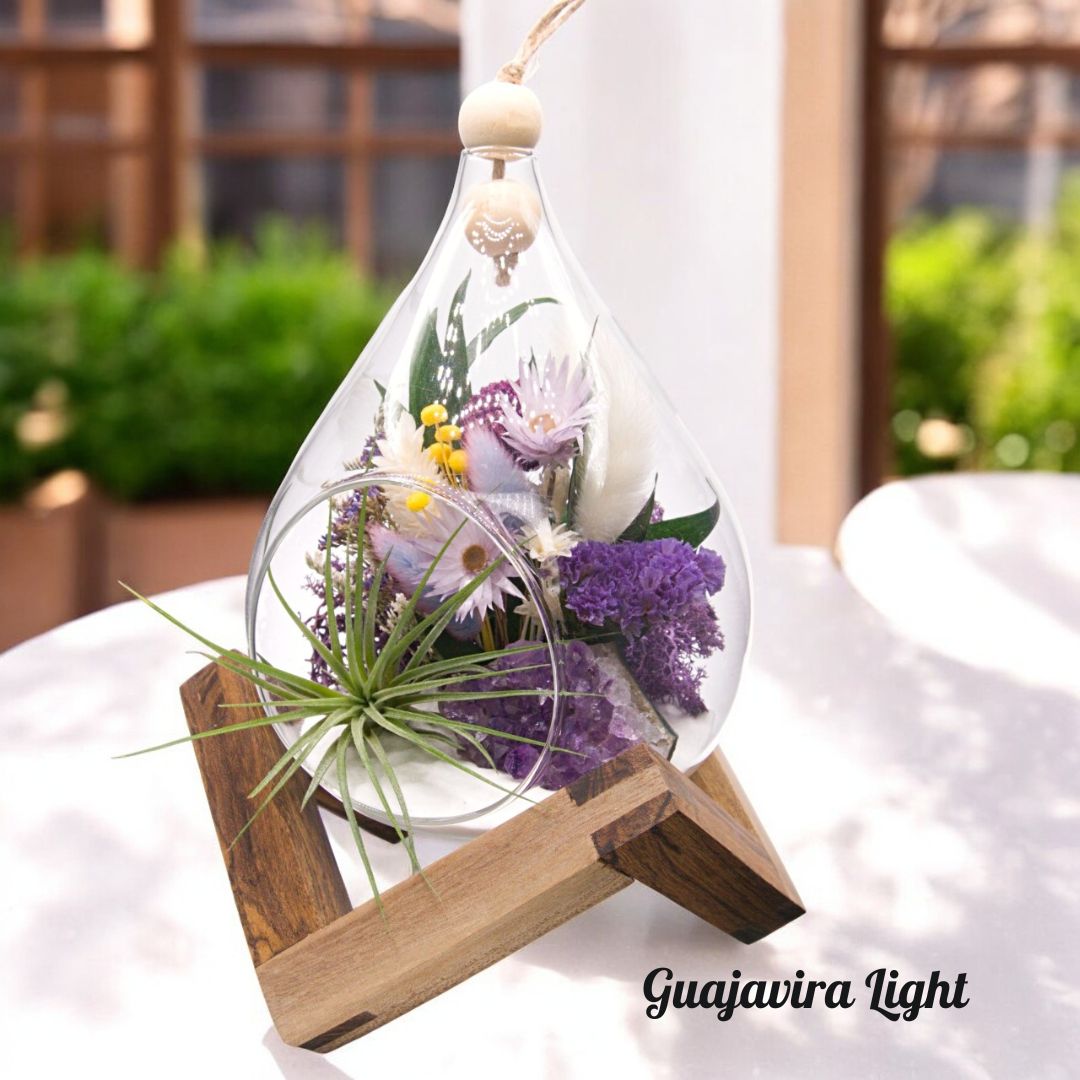 Wooden Displays - Large