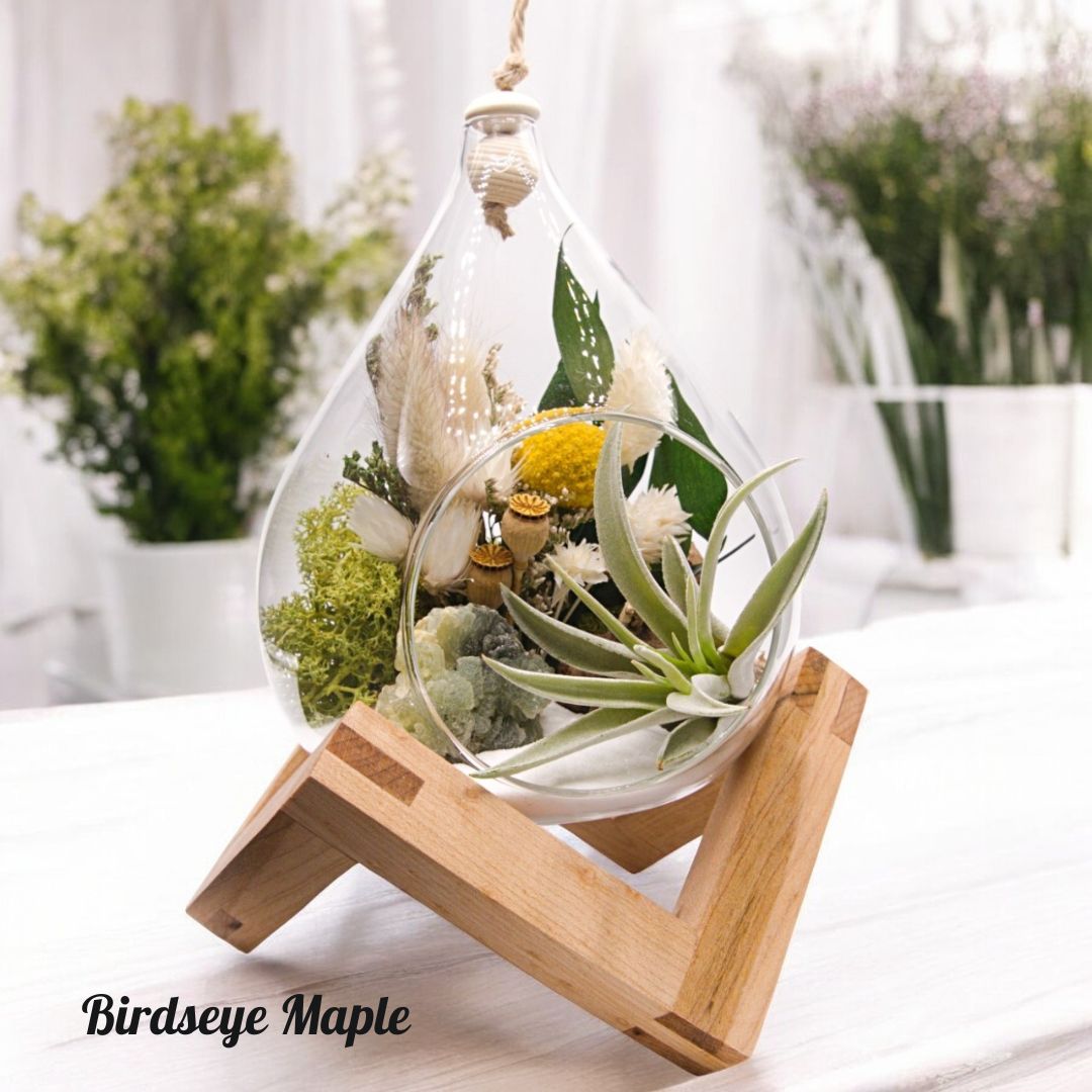 Wooden Displays - Large