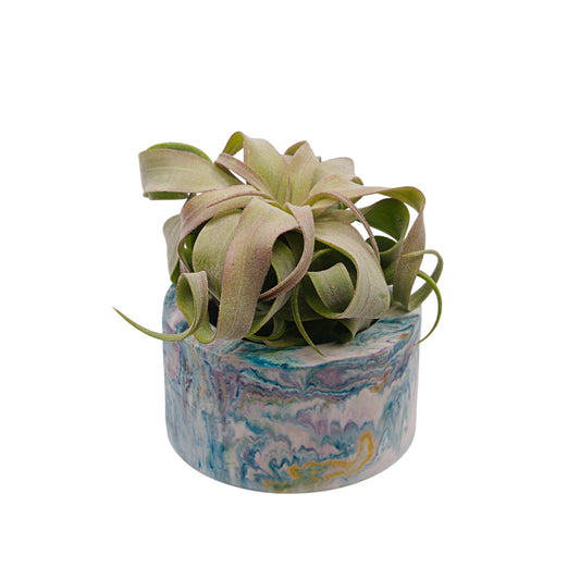 Vangogh-inspired marbled hydrostone airplant pots
