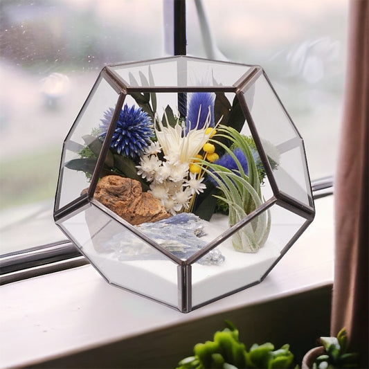 Black-rimmed glass geometric terrarium with an airplant, blue coloured dried flowers, sand, moss, wood and a blue quartz crystal