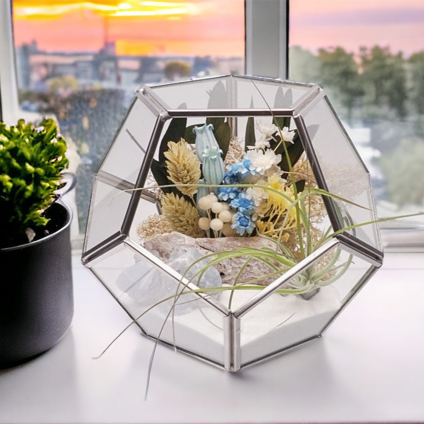 Silver-rimmed glass geometric terrarium with an airplant, blue coloured dried flowers, sand, moss, wood and a blue calcite crystal