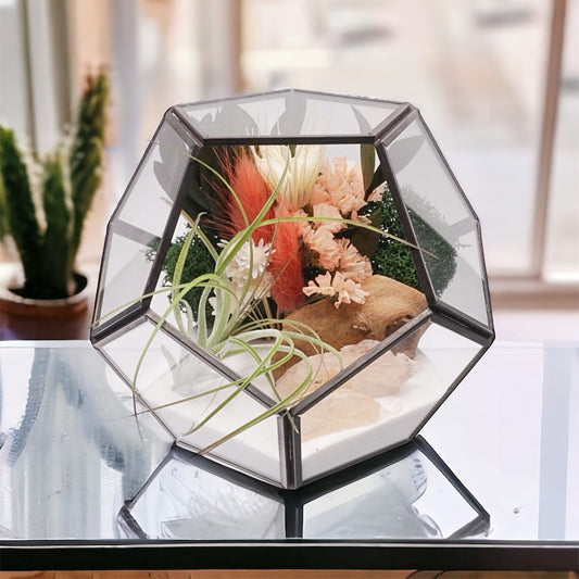Black-rimmed glass geometric airplant terrarium with peach coloured dried flowers, moss, sand and stilbite crystals