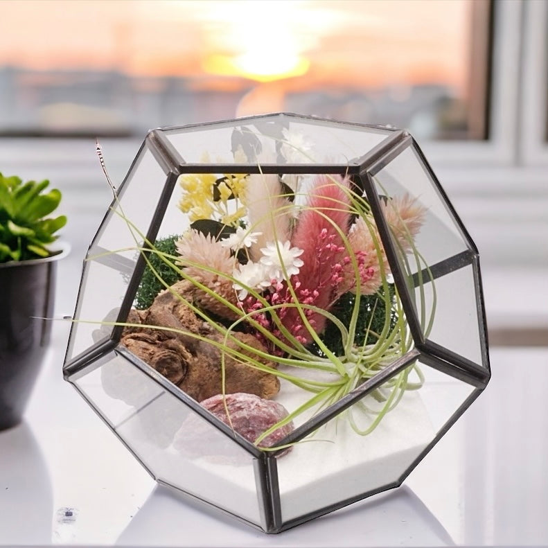 Airplant terrarium in a black rimmed geometric glass vase with pink bouquet of dried flowers, moss, wood and pink tourmaline crystals