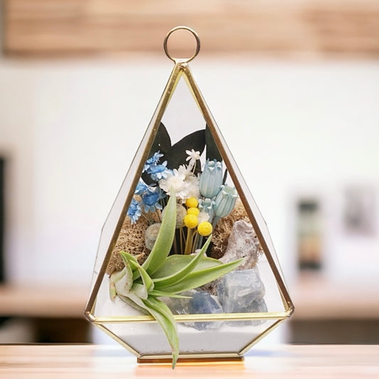 Gold-rimmed glass victorian terrarium filled with dried flowers with blue accents, blue calcite crystals, sand, moss, wood and an airplant