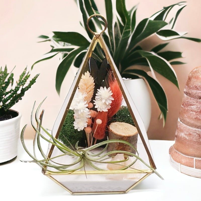 Gold-rimmed glass victorian terrarium filled with dried flowers with peach/terracotta accents, rose quartz crystals, sand, moss, wood and an airplant