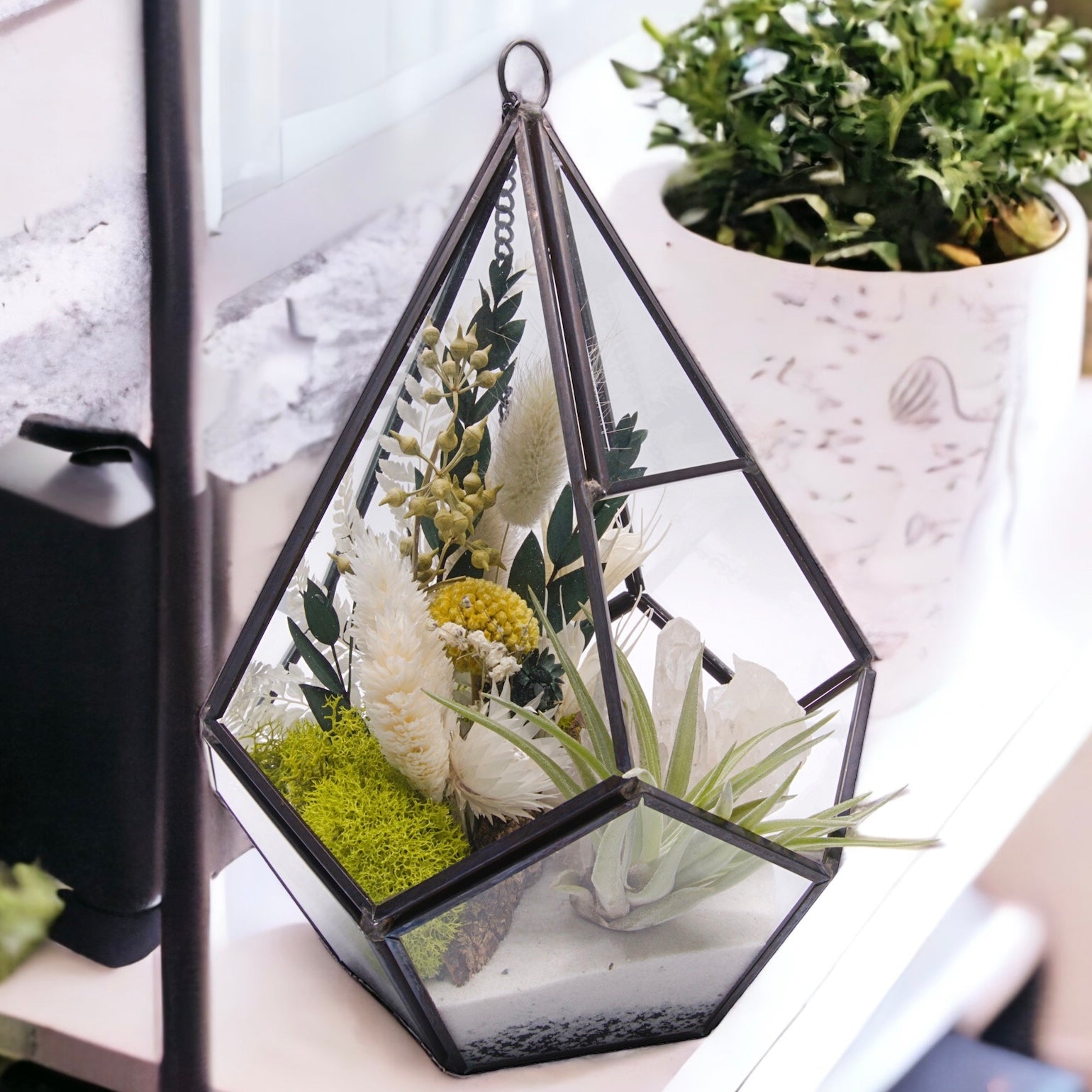 Glass geometric black terrarium with dried flowers, sand, moss, wood and an airplant