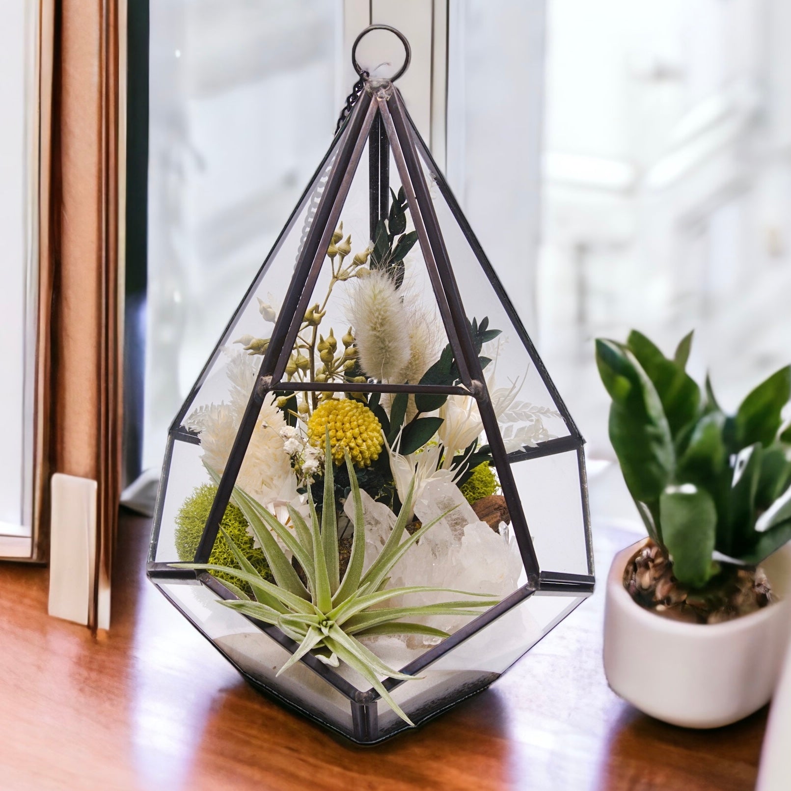 Glass geometric black terrarium with dried flowers, sand, moss, wood and an airplant