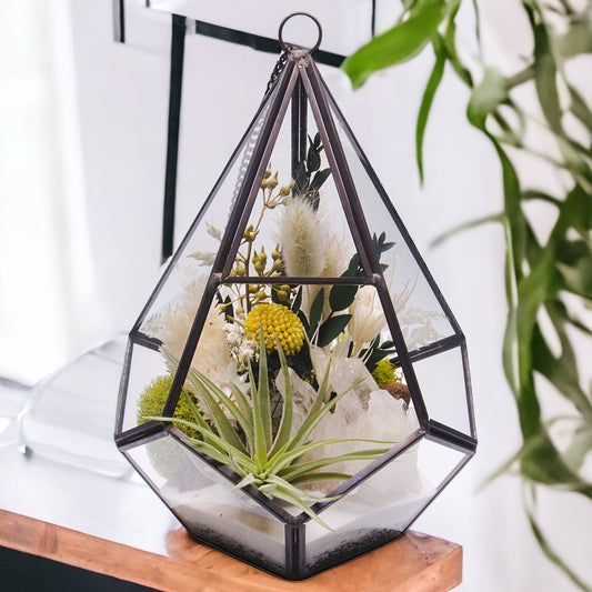Glass geometric black terrarium with dried flowers, sand, moss, wood and an airplant