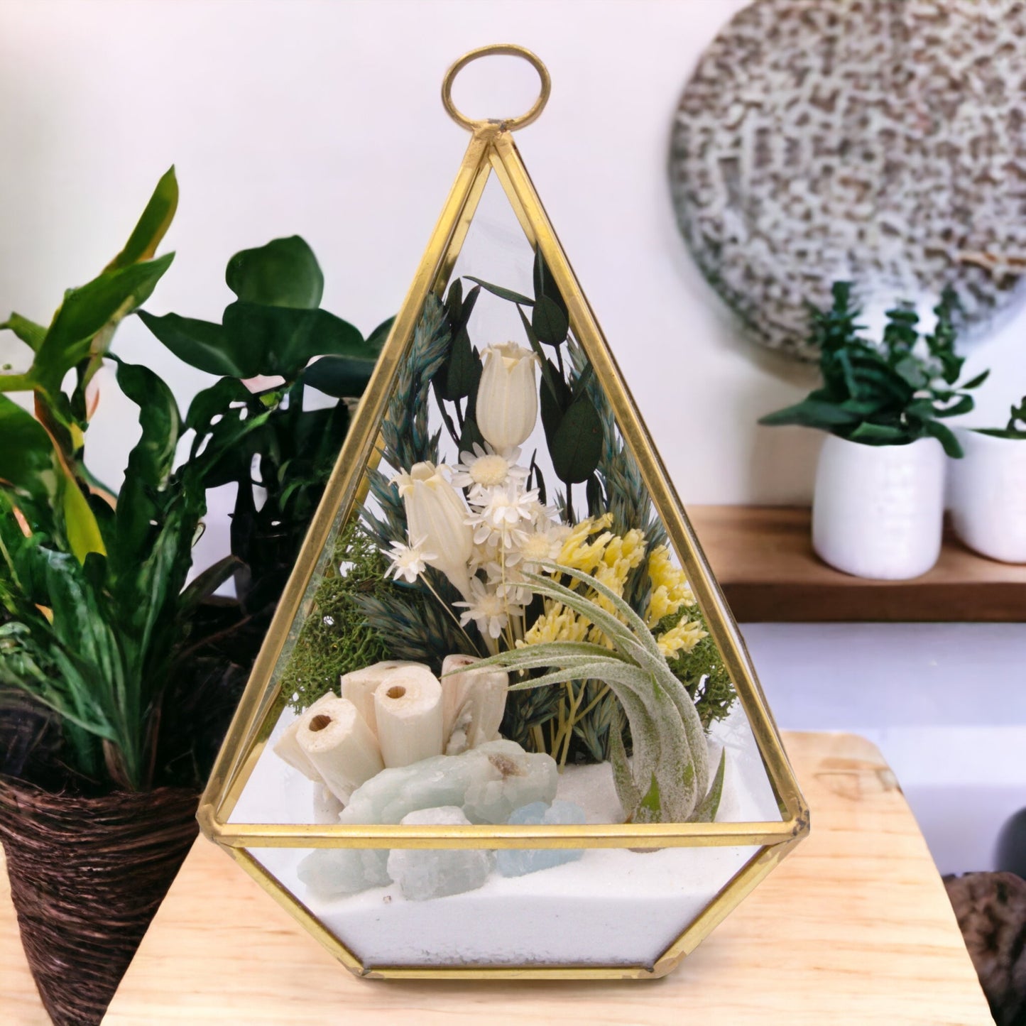 Victorian Airplant Terrarium - Aquamarine Crystals
