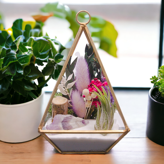 Victorian Airplant Terrarium - Amethyst Chevron