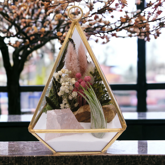 Victorian Airplant Terrarium - Rose Quartz