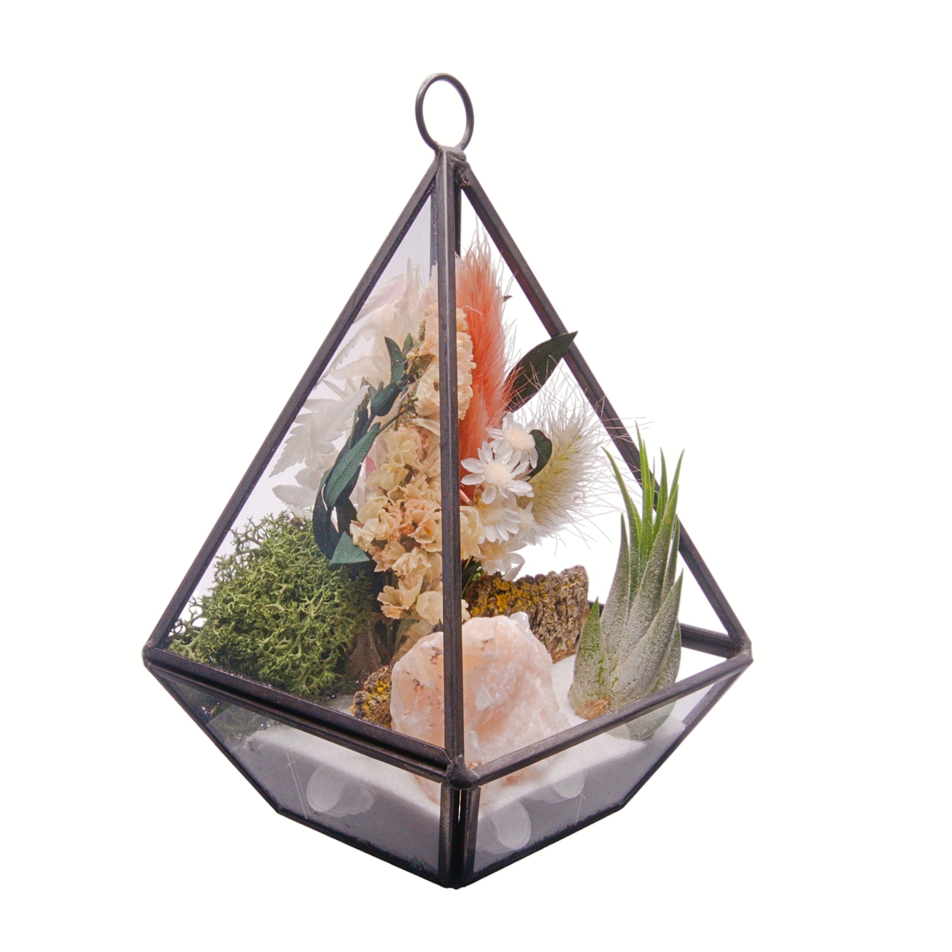 Black Victorian style triangle terrarium with airplant, dried flowers, tri-coloured calcite crystal