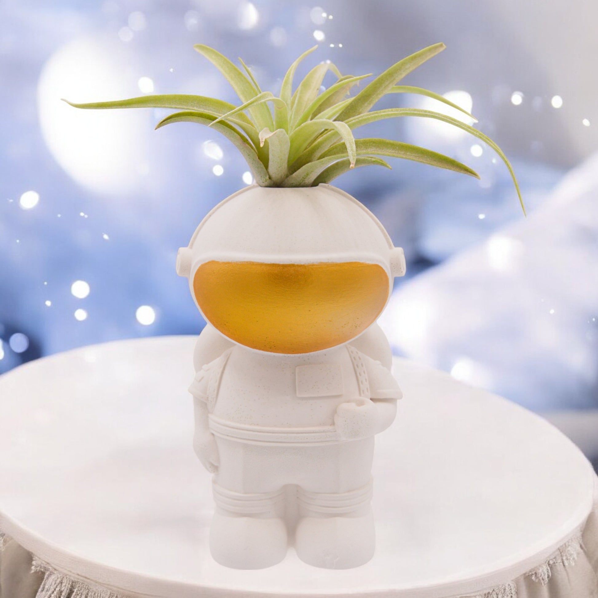 astronaut plant pot Astronaut Airplant Pot – Plant Babies Terrariums