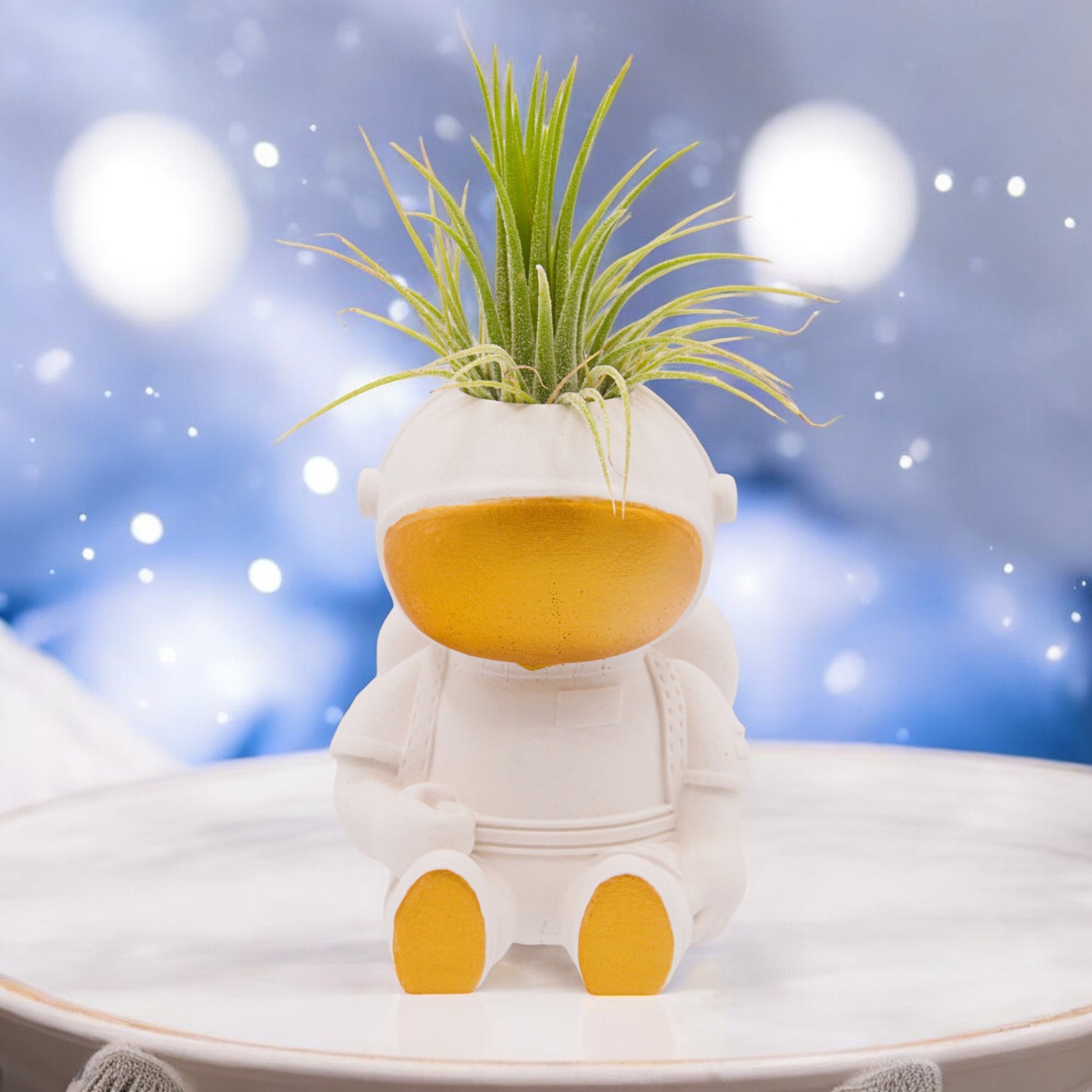 astronaut air plant Pot de plantes aériennes Astronaute – Plant Babies Terrariums