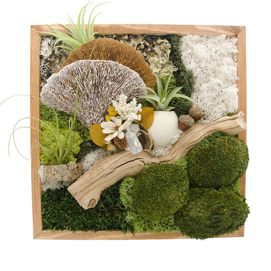Airplant Moss & Floral Landscape Frame - 12 x 12