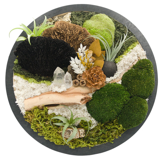 Airplant Moss & Floral Landscape - Round Frame