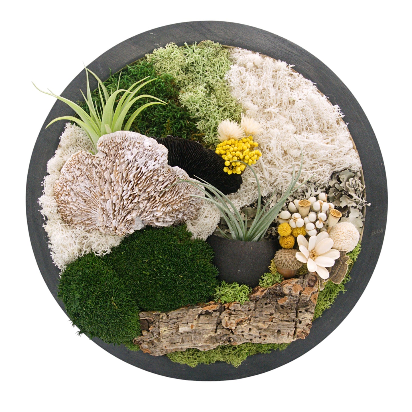 Airplant Moss & Floral Landscape - Round Frame