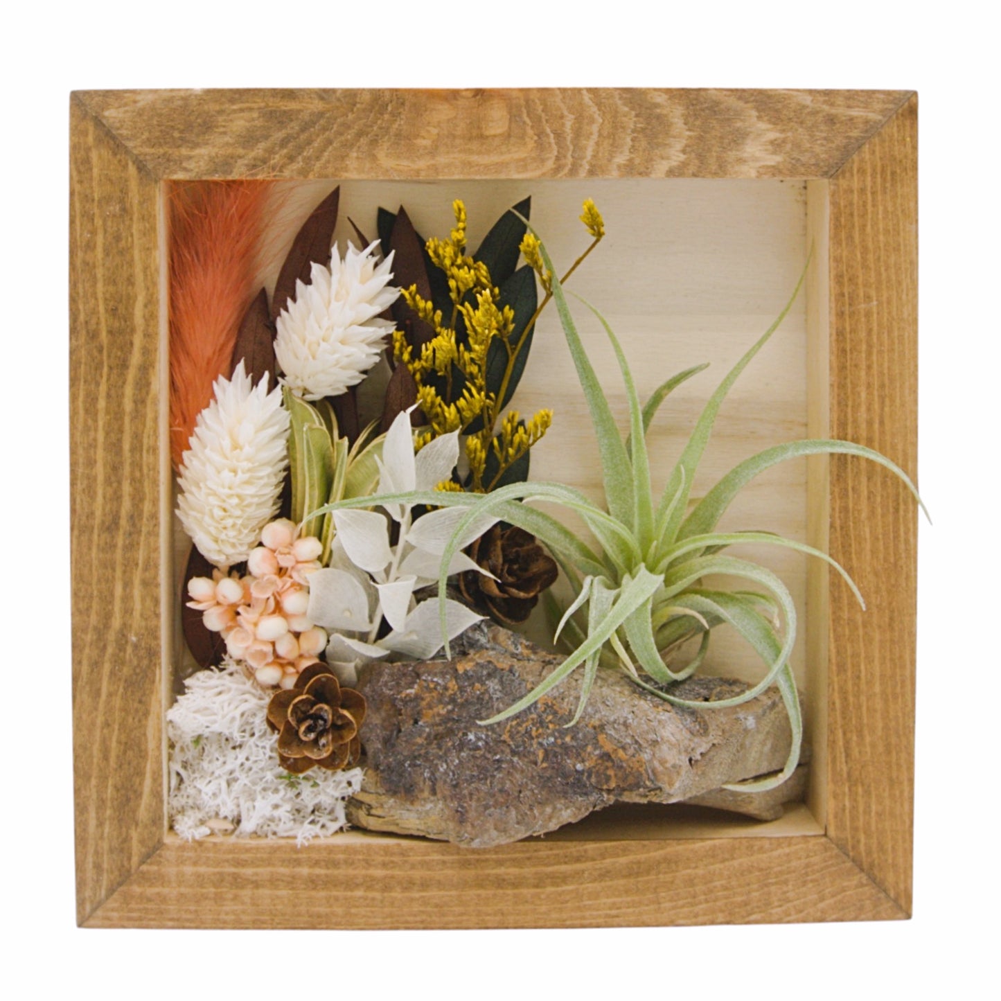 Cadre Paysage avec Plante Aérienne - Couleurs corails