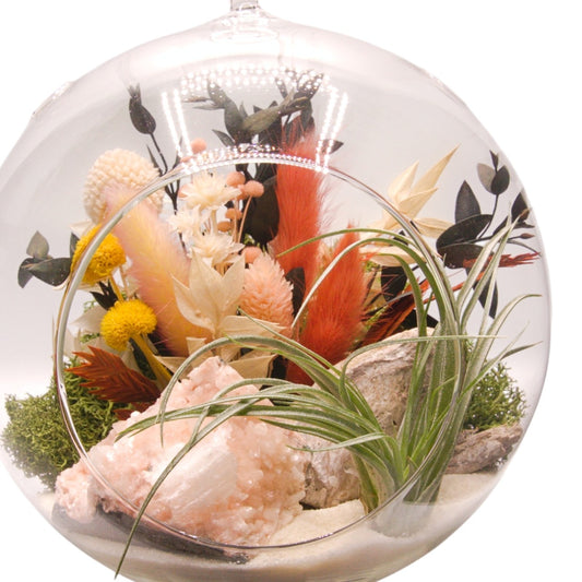 Terrarium à bulle grand avec une plante aérienne et un cristal de heulandite