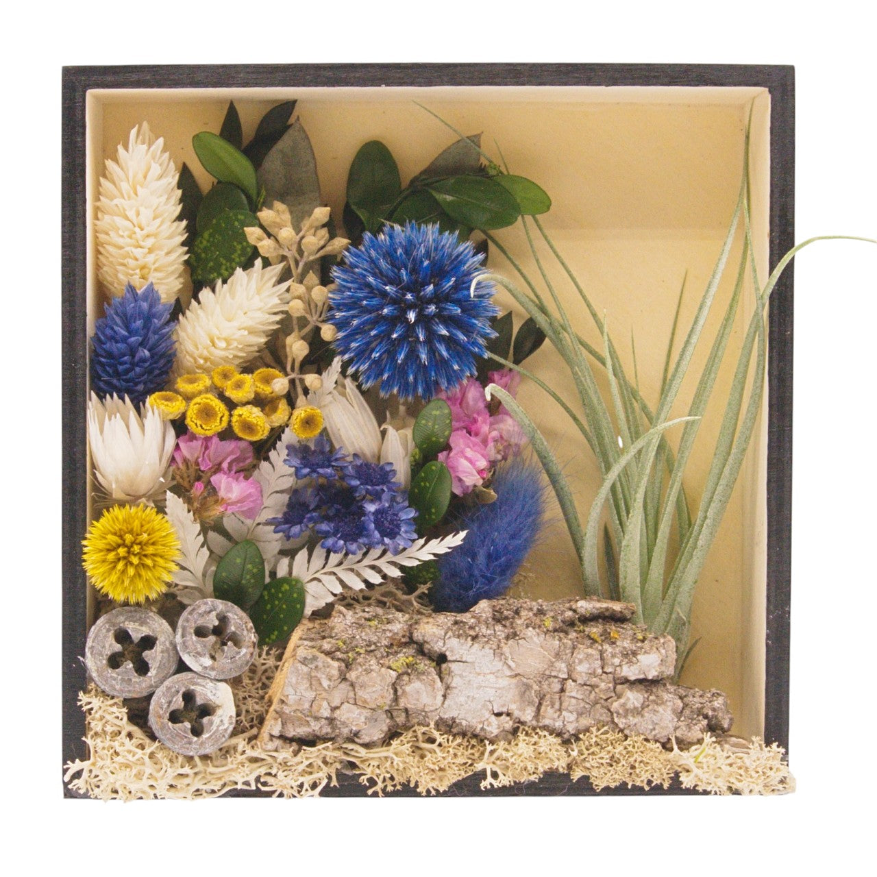 Cadre Paysage avec Plante Aérienne - Fleurs bleues
