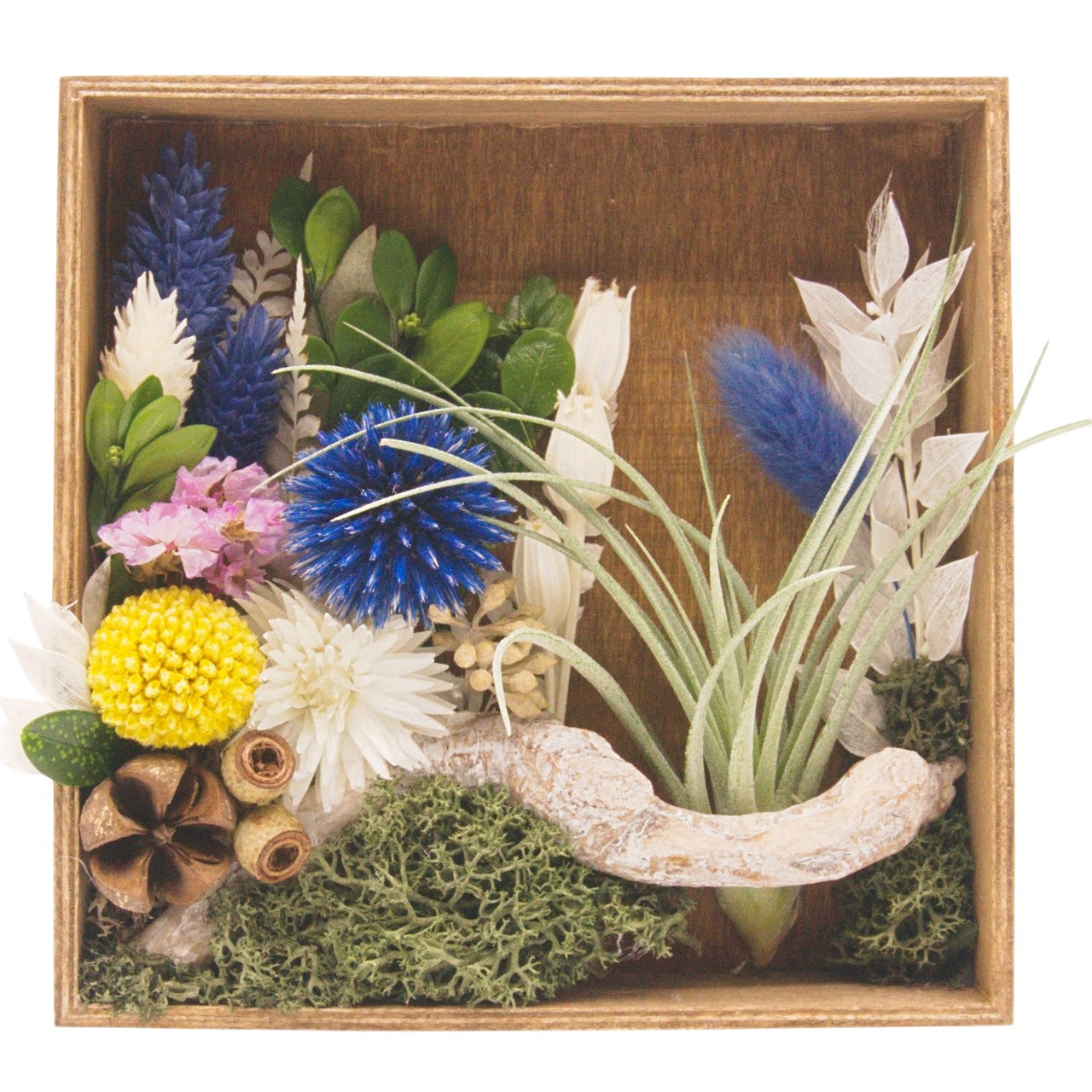Cadre Paysage avec Plante Aérienne - Fleurs bleues