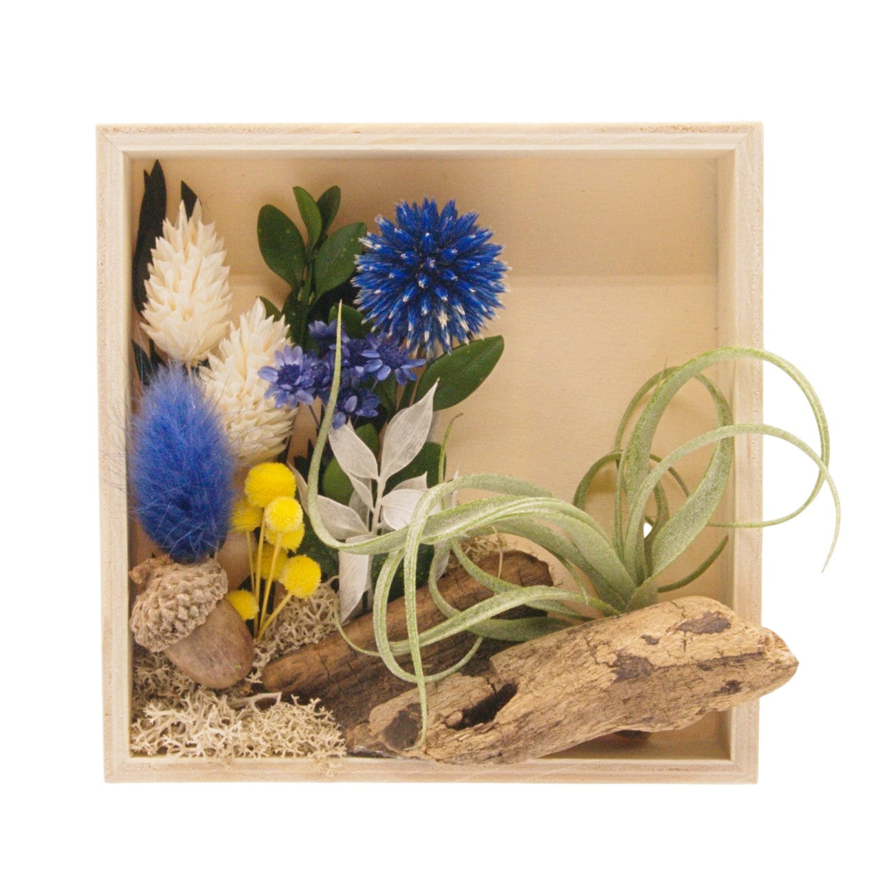 Cadre Paysage avec Plante Aérienne - Fleurs bleues