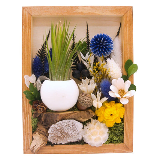 Airplant Landscape Frames - Blue Flowers