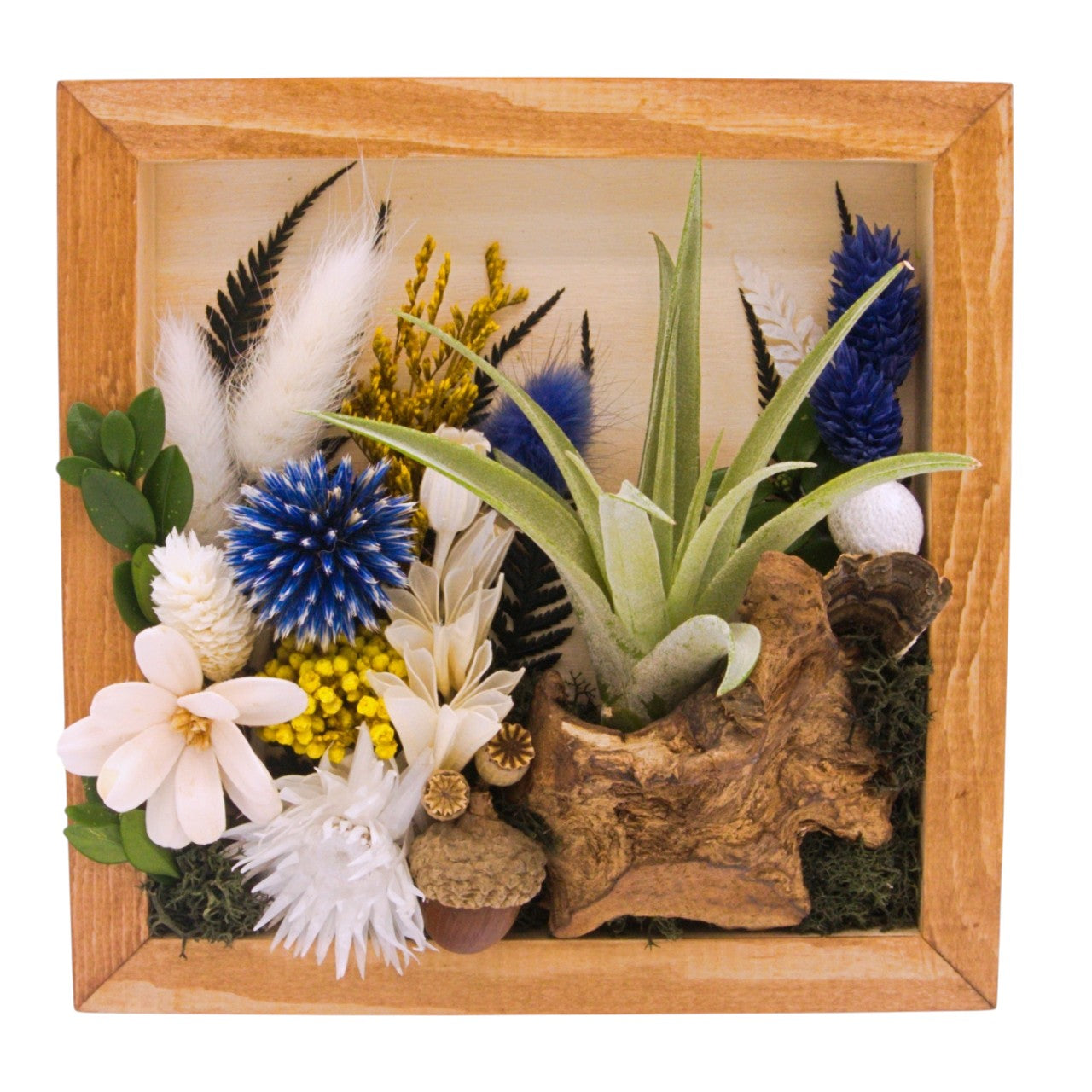 Cadre Paysage avec Plante Aérienne - Fleurs bleues
