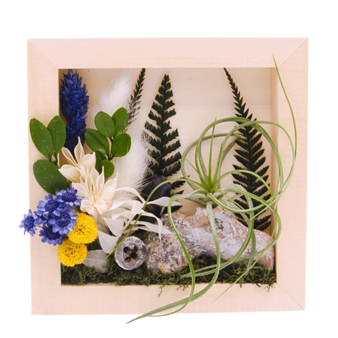 Cadre Paysage avec Plante Aérienne - Fleurs bleues