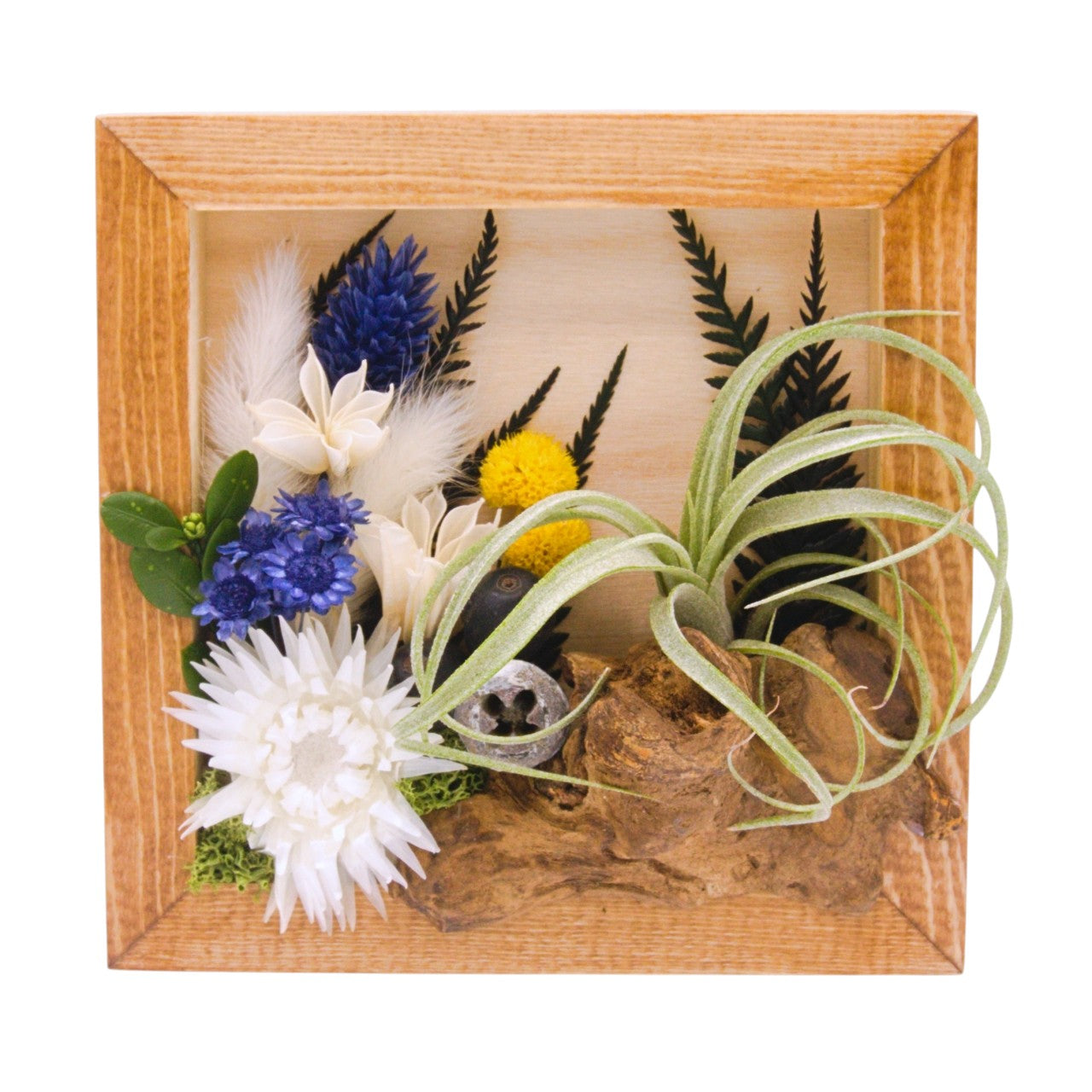 Cadre Paysage avec Plante Aérienne - Fleurs bleues