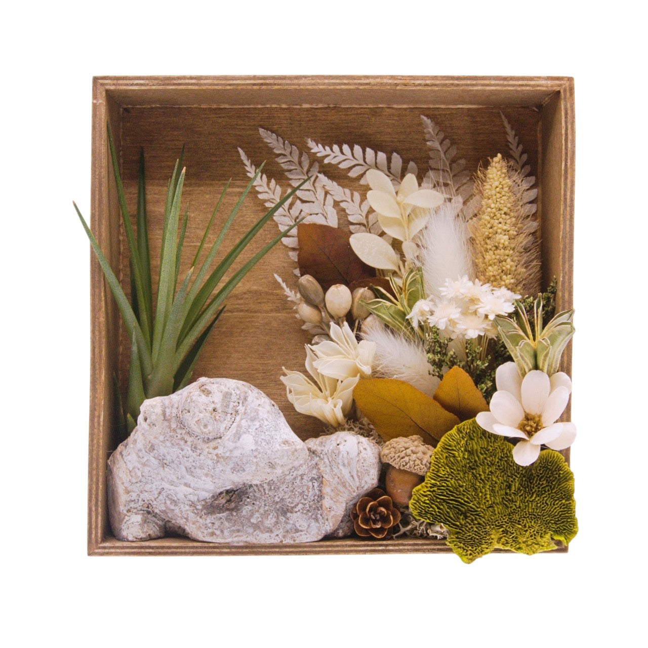 Cadre Paysage avec Plante Aérienne - Couleurs neutres