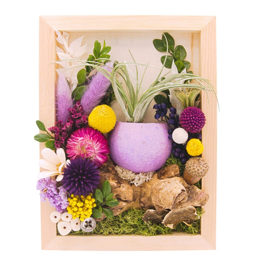 Airplant landscape frame with purple flowers
