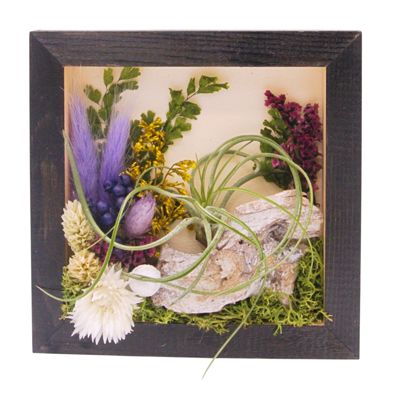Airplant landscape frame with purple flowers
